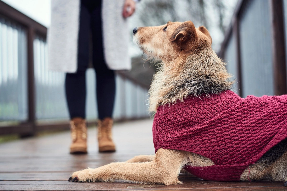 Hunter Malmø pullover strik bordeaux str. 45